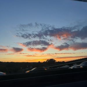 Meet your Posher, Stella